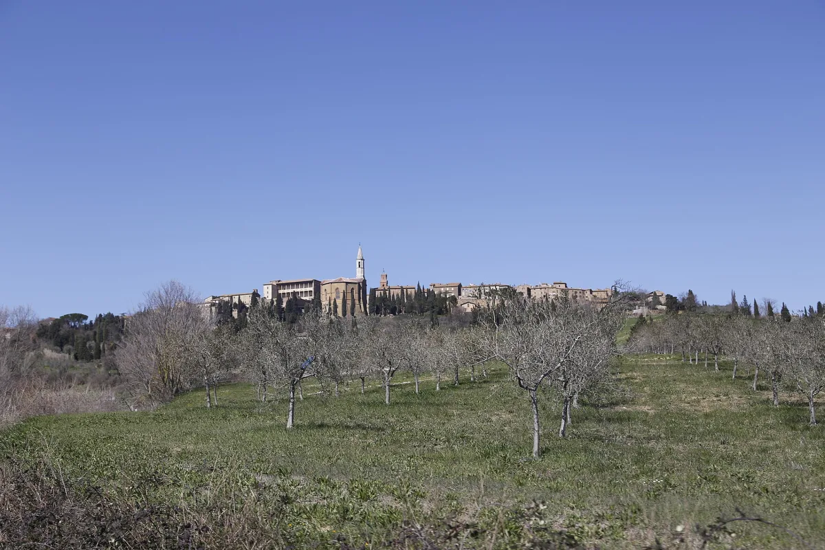 Quando conviene visitare Pienza? Stagioni, eventi e consigli 2026