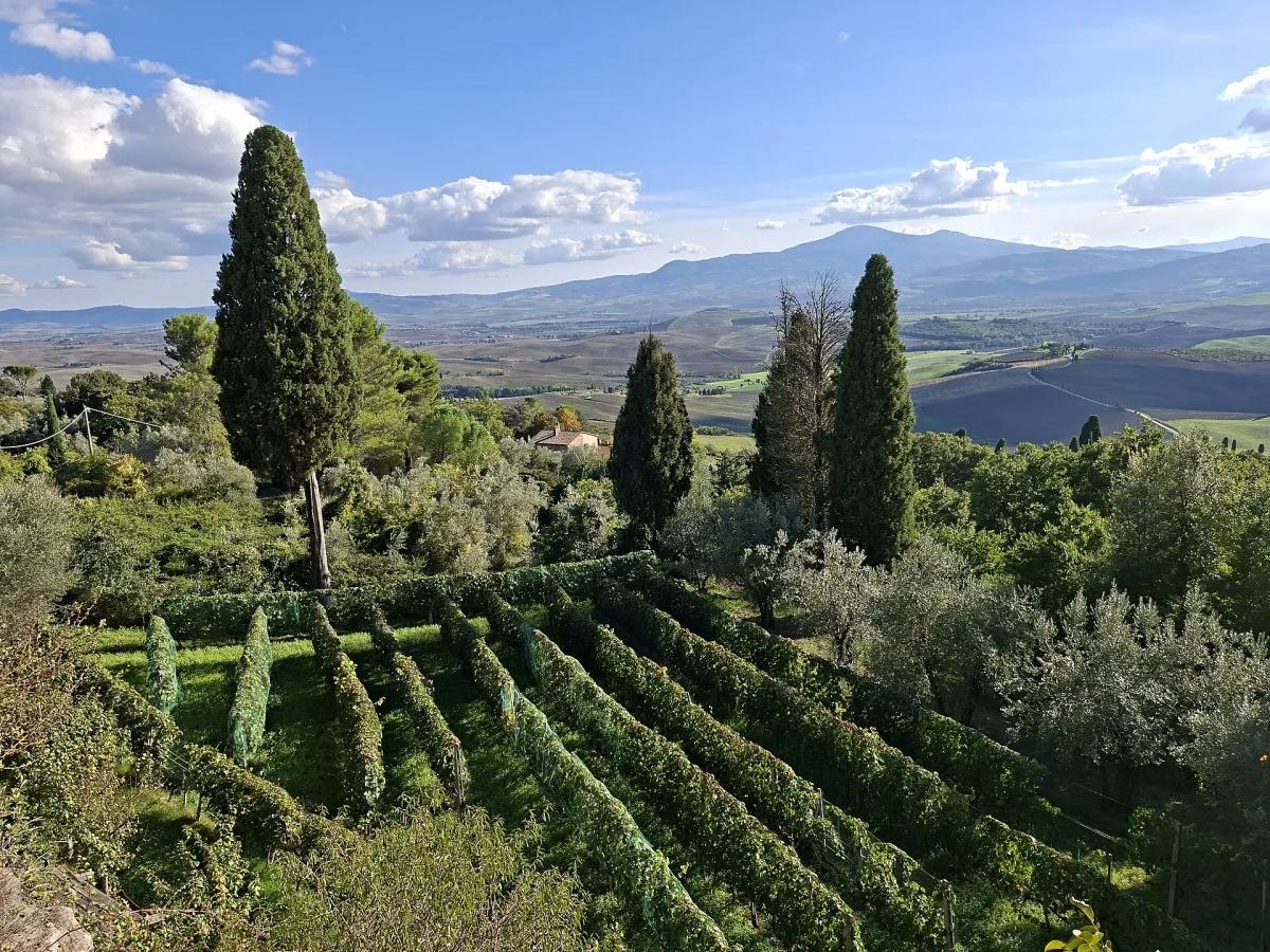 Eventi a Pienza settembre 2026: programma e date da non perdere